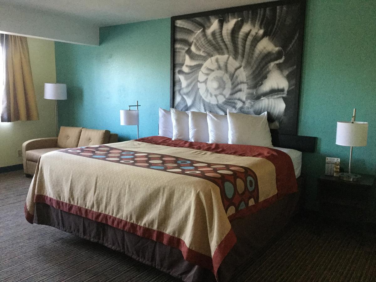 Hotel Super 8 By Wyndham Clearwater/St. Petersburg Airport Zewnętrze zdjęcie